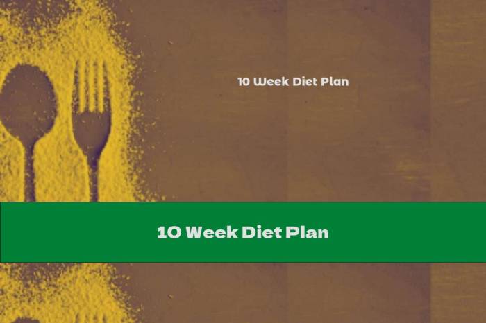 Ten day diet plan