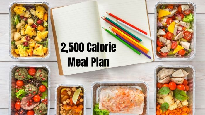 2500 calorie diet plan