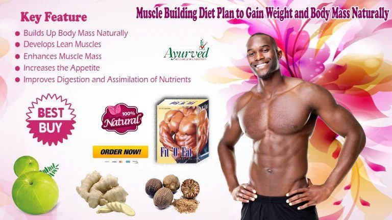 Muscle building diets for men