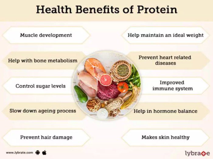 Benefits of protein diet