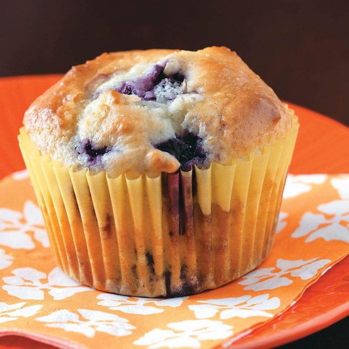 Recipe for blueberry muffins