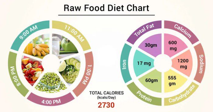 Sample raw food diet