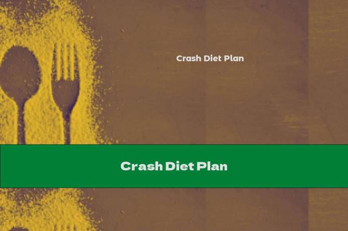 4 day crash diet
