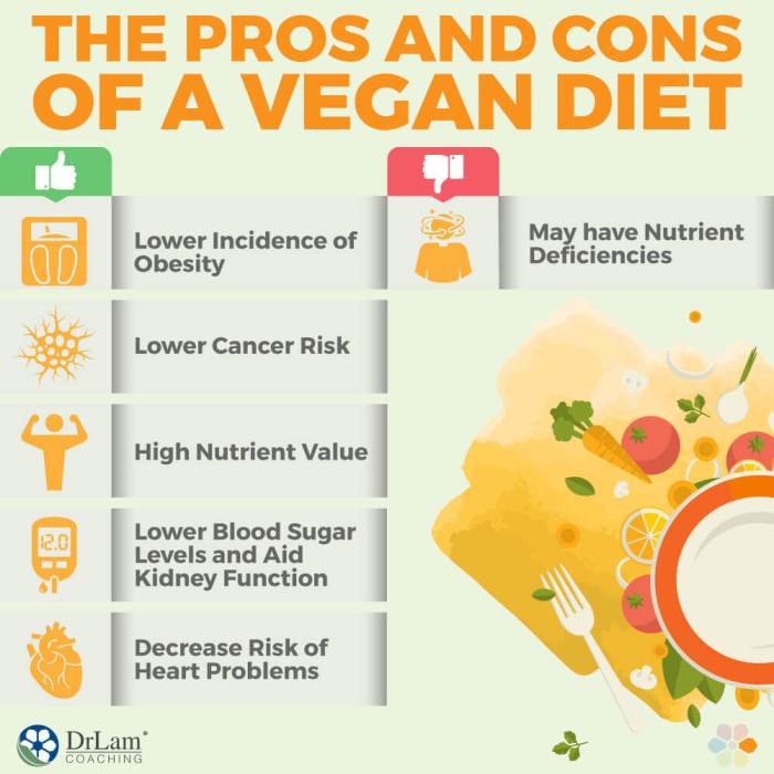 Cons of a vegan diet