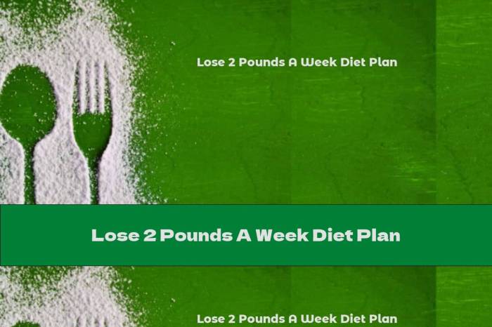 Lose 2 pounds a week diet plan