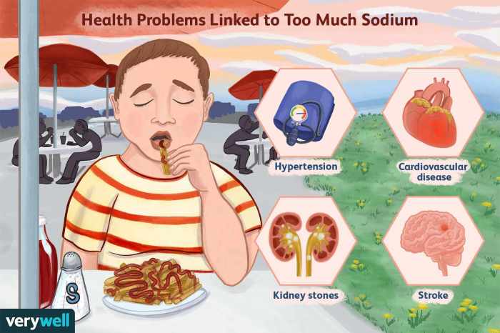 Effects of a high sodium diet