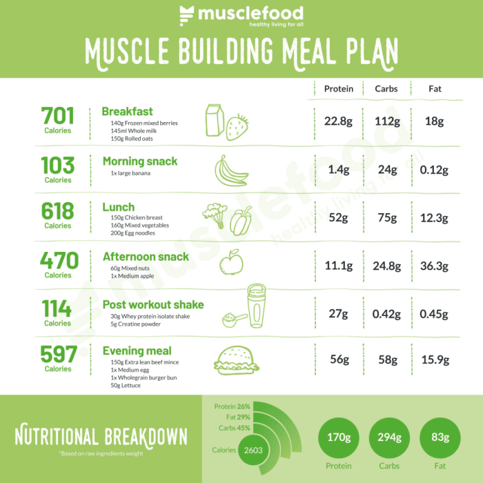 Diet plans for building muscle